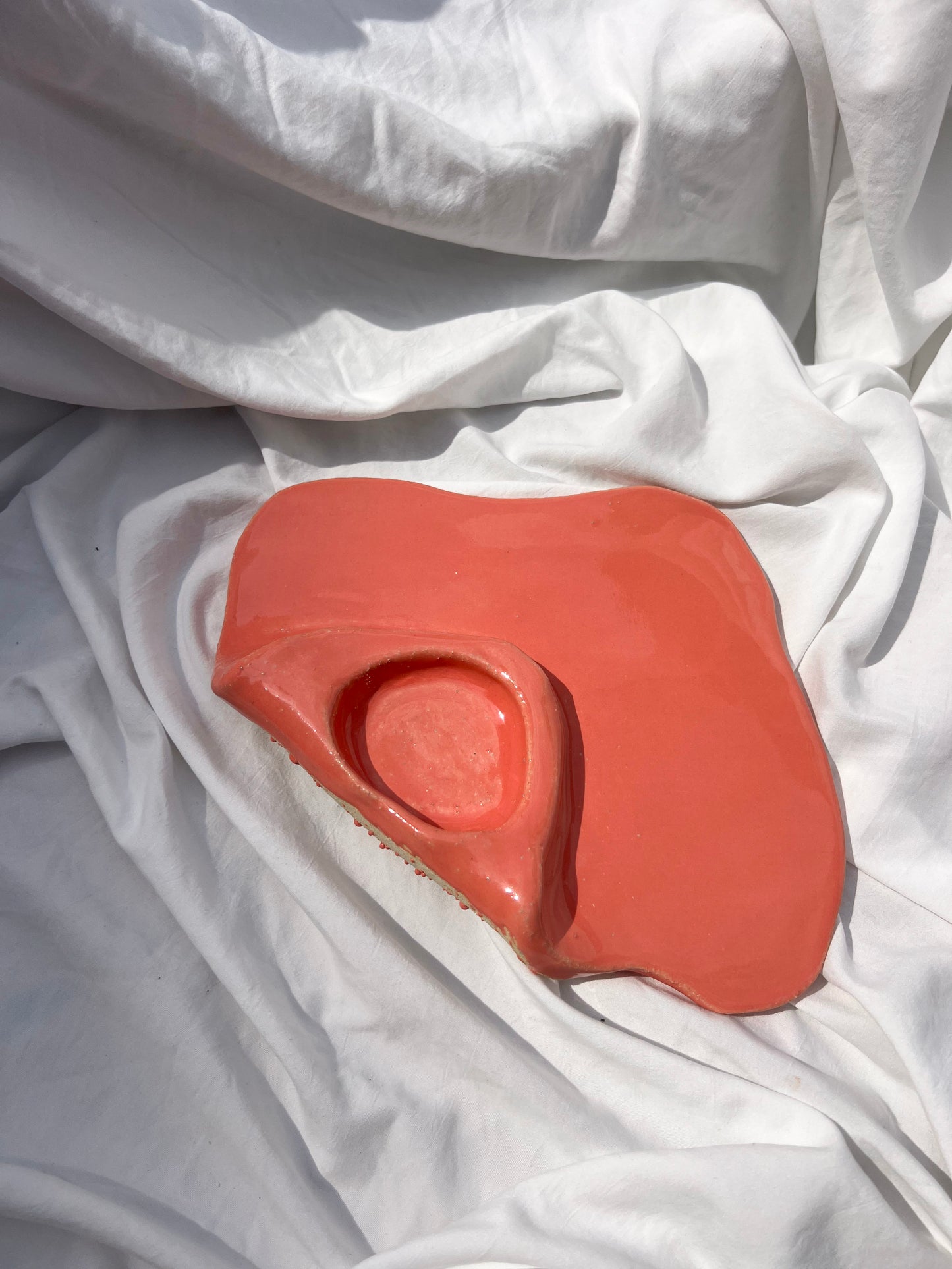 Coral Folded Plate